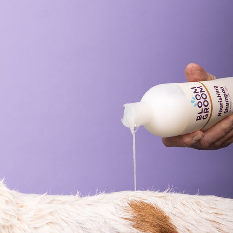 Nourishing Shampoo - Bloom Groom