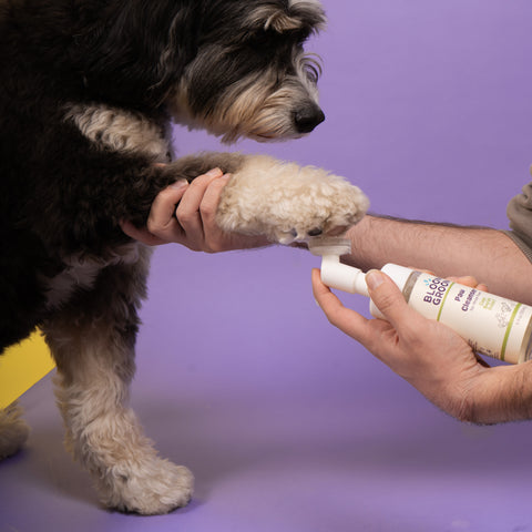Paw Cleanser