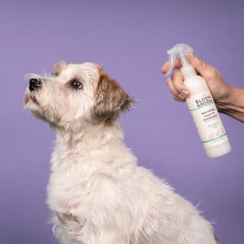 Nourishing Leave-In Conditioner Spray