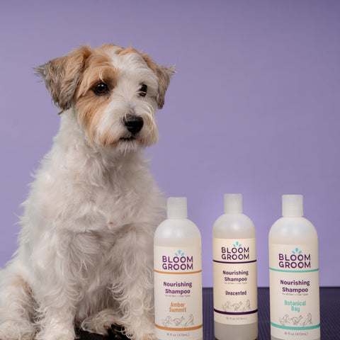Nourishing Shampoo - Bloom Groom