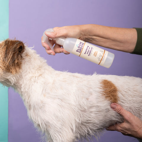 Nourishing Leave-In Conditioner Spray - Bloom Groom
