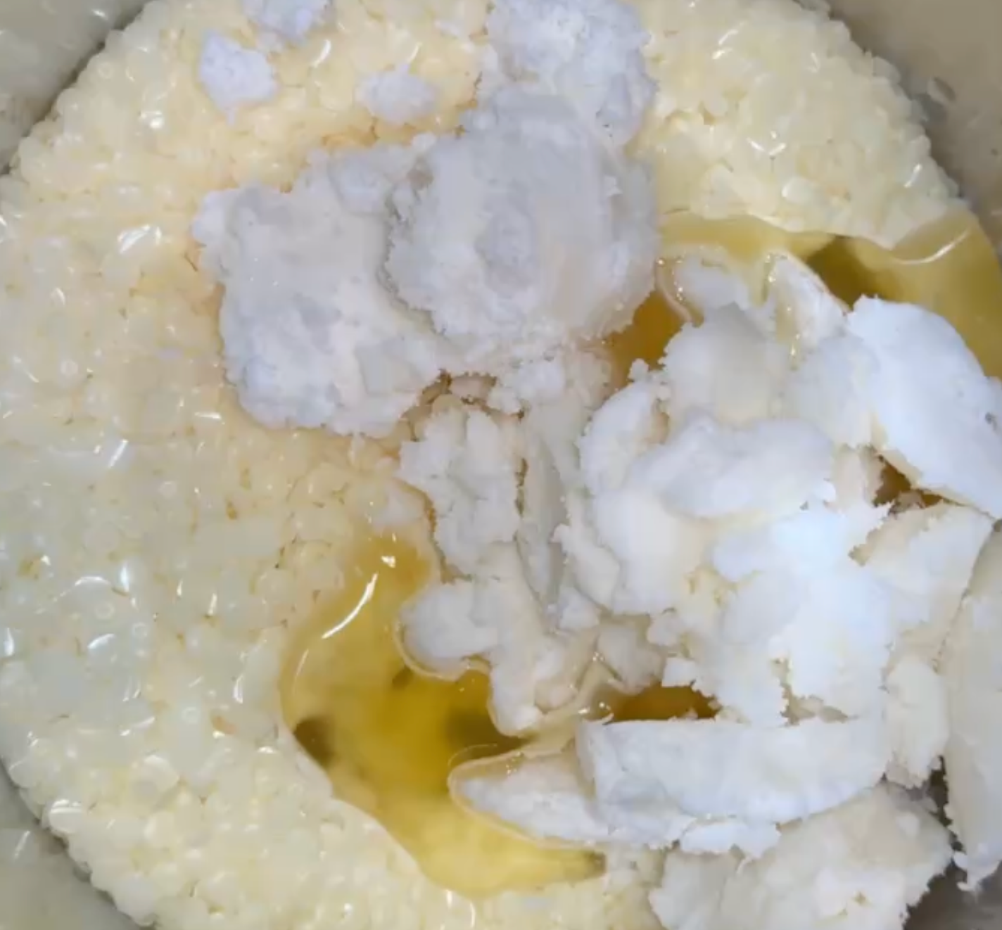 Natural vs. "Clean" Dog Products: What Really Matters?