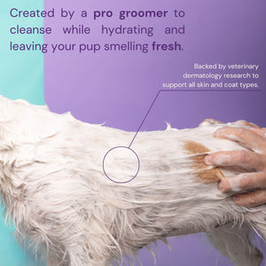 The Foundation Set - Bloom Groom