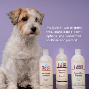 Nourishing Shampoo - Bloom Groom