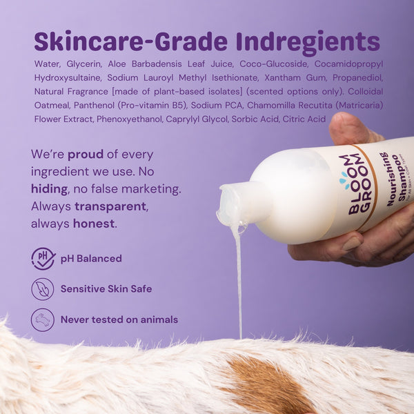 The Foundation Set - Bloom Groom