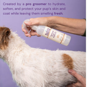 The Foundation Set - Bloom Groom