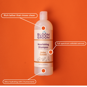 The Full Bloom Set - Bloom Groom