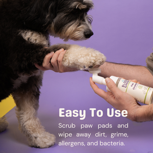 The Bloom Between Set - Bloom Groom