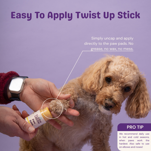 The Bloom Between Set - Bloom Groom