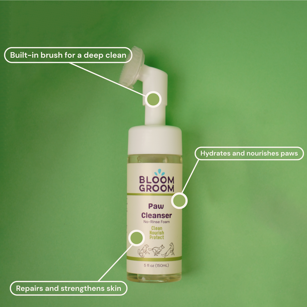 The Bloom Between Set