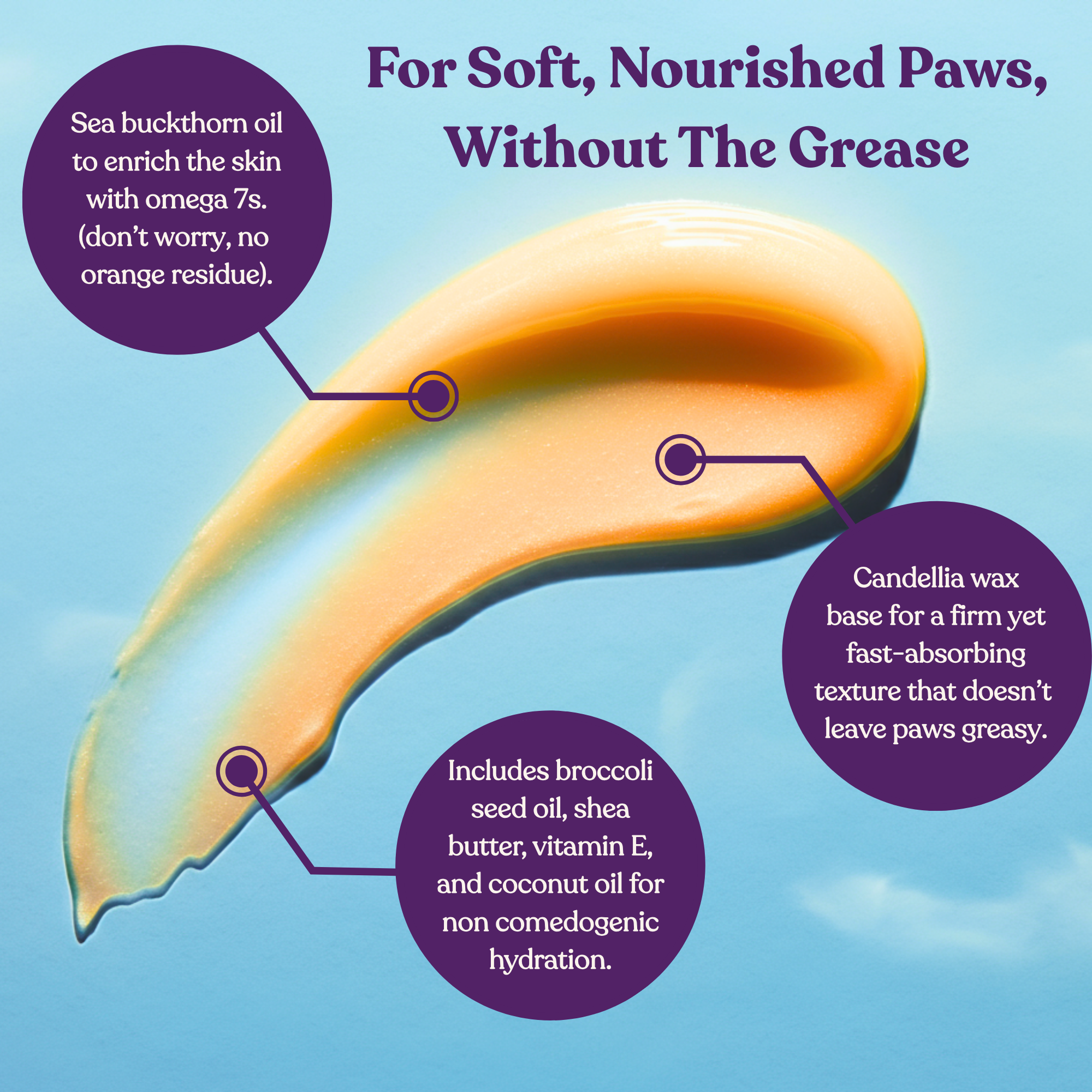 Paw Balm - Bloom Groom