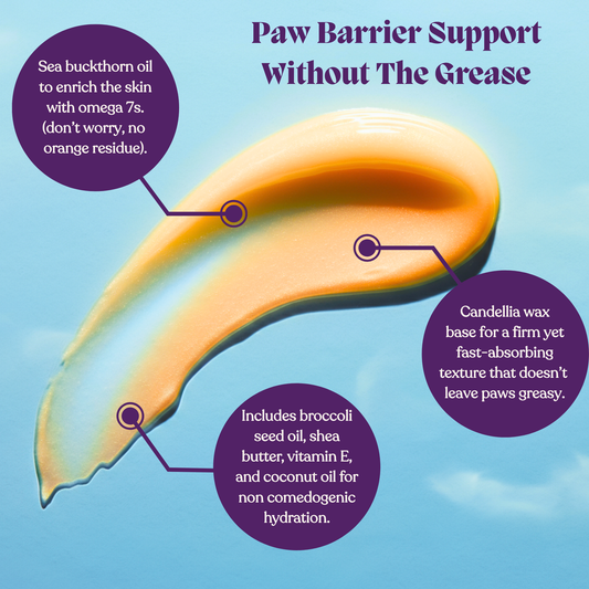 Paw Balm