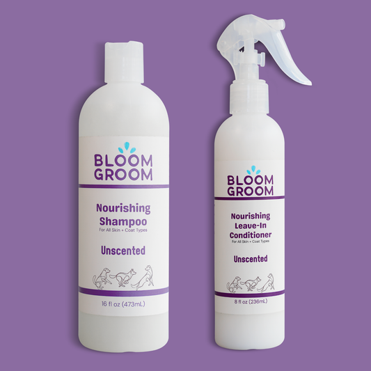 The Foundation Set - Bloom Groom