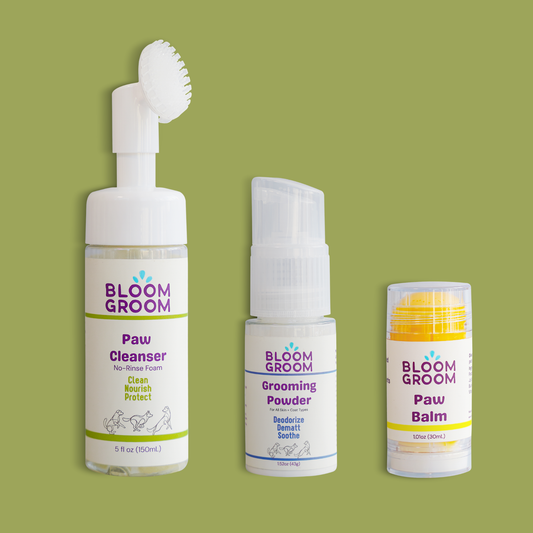 The Bloom Between Set - Bloom Groom