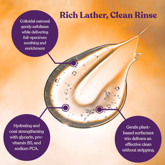 Amber Summit Nourishing Shampoo