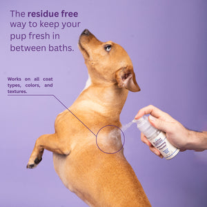 Grooming Powder - Bloom Groom