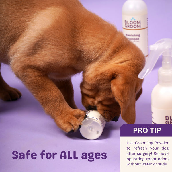 Grooming Powder - Bloom Groom