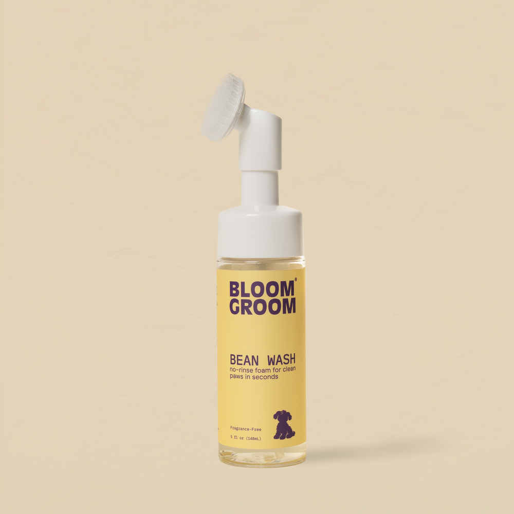 Bean Wash - Bloom Groom