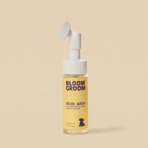Bean Wash - Bloom Groom