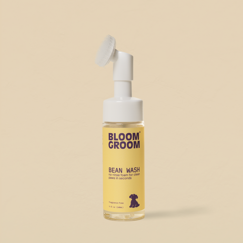 Bean Wash - Bloom Groom