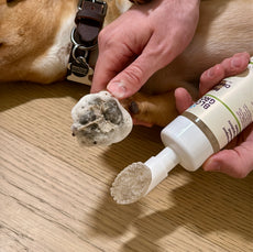 Foaming Paw Cleanser