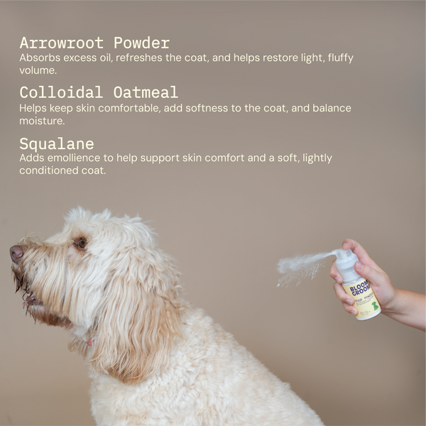 Poof Powder - Bloom Groom