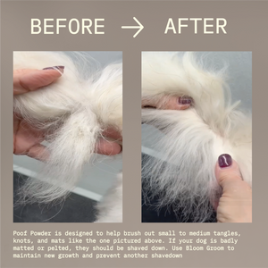 Poof Powder - Bloom Groom