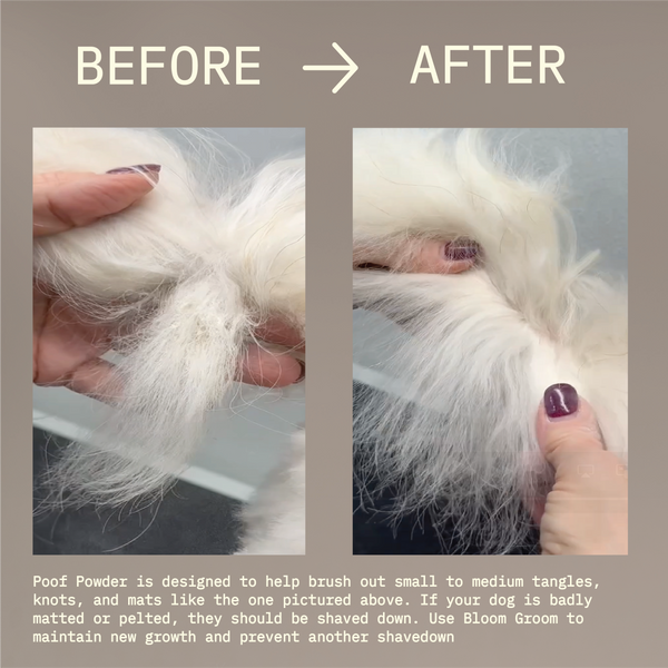 Poof Powder - Bloom Groom