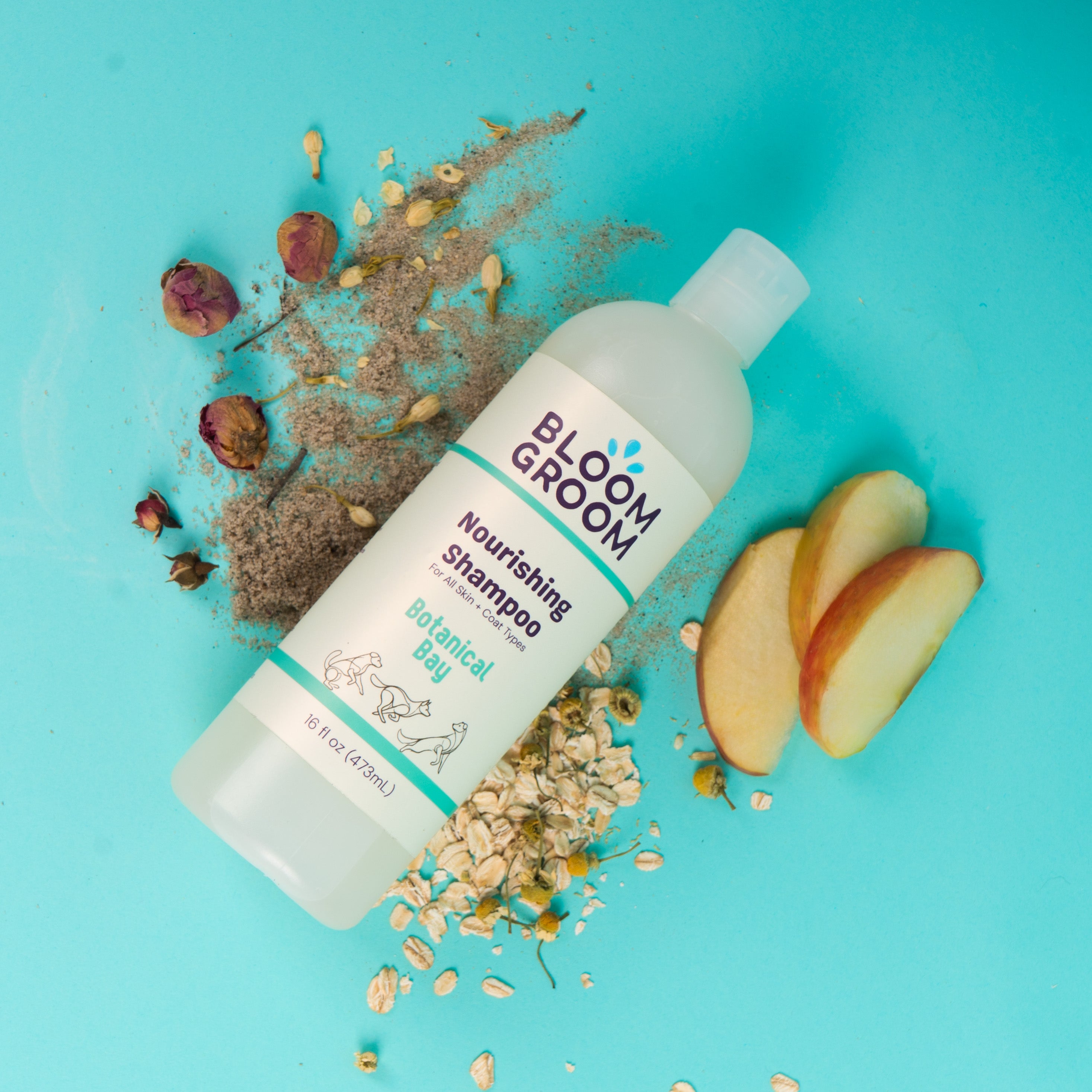 The Foundation Set - Bloom Groom