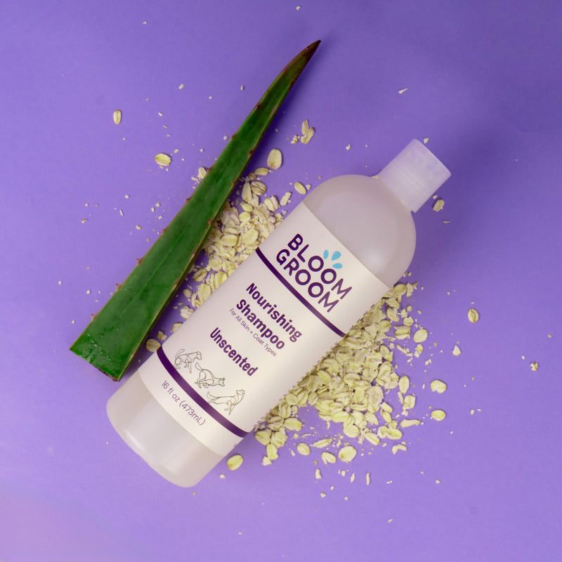 The Foundation Set - Bloom Groom