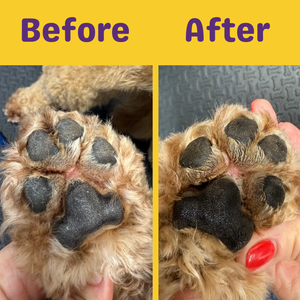 Paw Balm - Bloom Groom