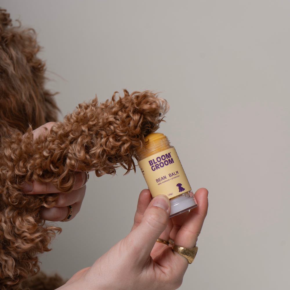 Bean Balm - Bloom Groom