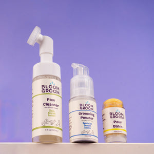 The Bloom Between Set - Bloom Groom