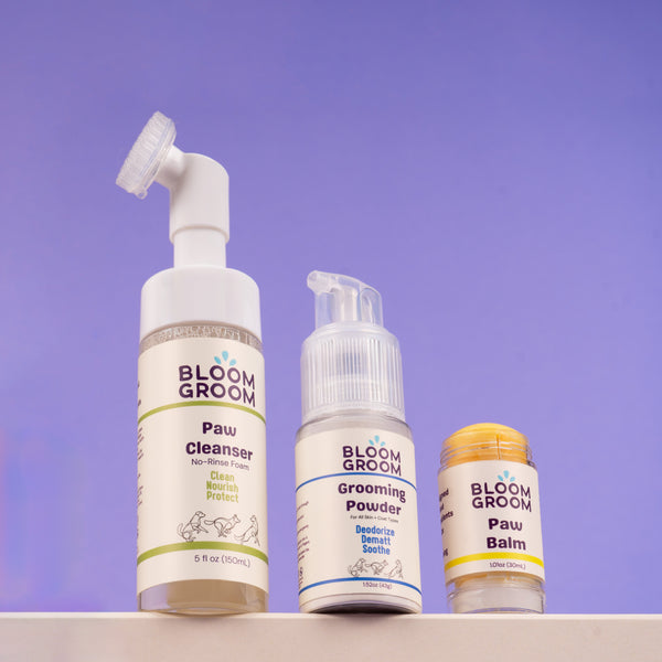 The Bloom Between Set - Bloom Groom