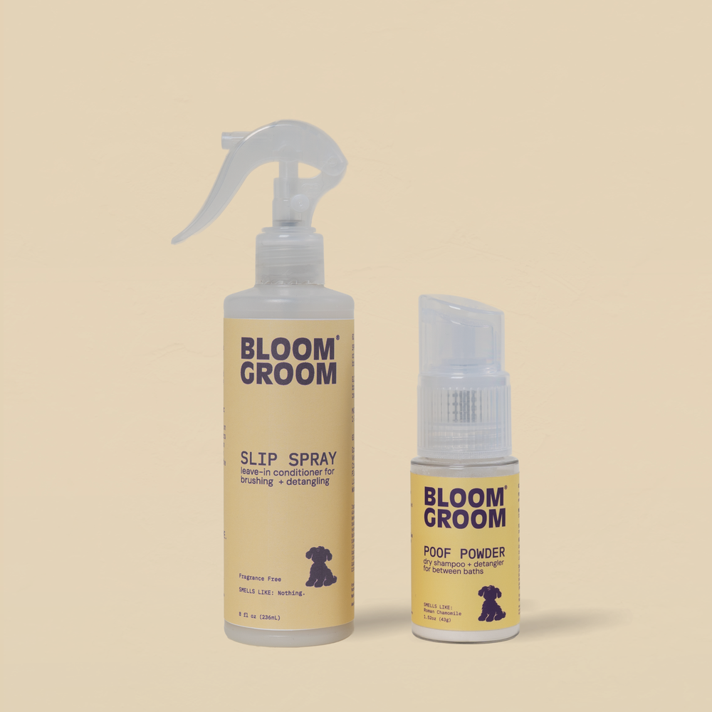 The Daily Duo - Bloom Groom