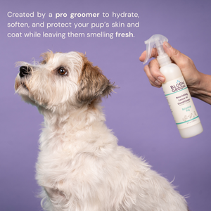 Nourishing Leave-In Conditioner Spray