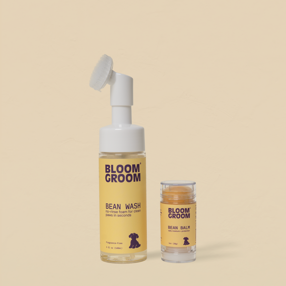 Bean Care Duo - Bloom Groom