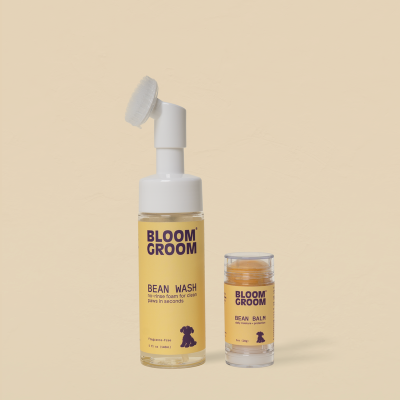 Bean Care Duo - Bloom Groom