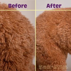 The No-Mat Routine - Bloom Groom