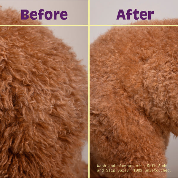 The No-Mat Routine - Bloom Groom