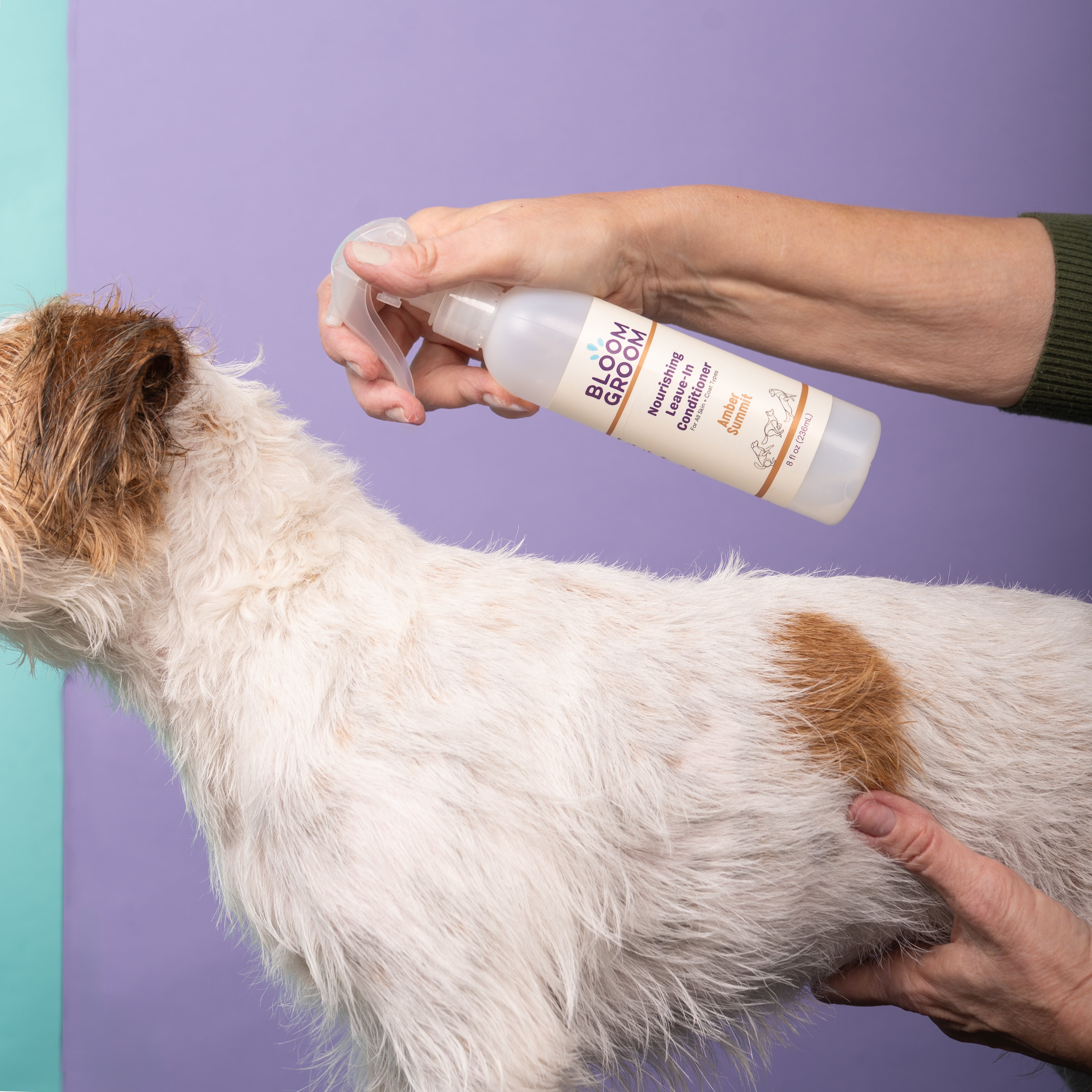 Nourishing Leave-In Conditioner Spray - Bloom Groom