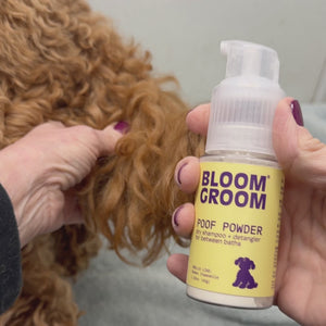 Poof Powder