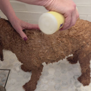 Soft Suds
