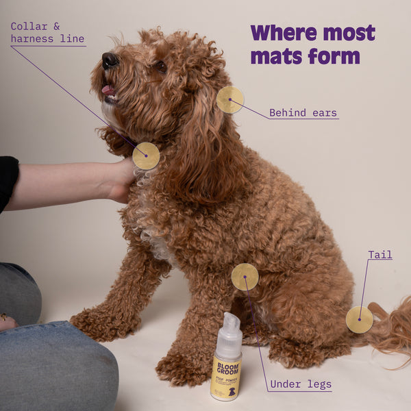 The No-Mat Routine - Bloom Groom